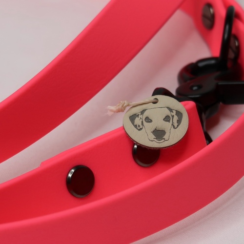 Leine | Classic | Biothane | Neonpink