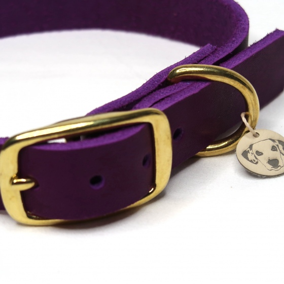 Halsband | Classic | Fettleder | Violett | 38-48 cm